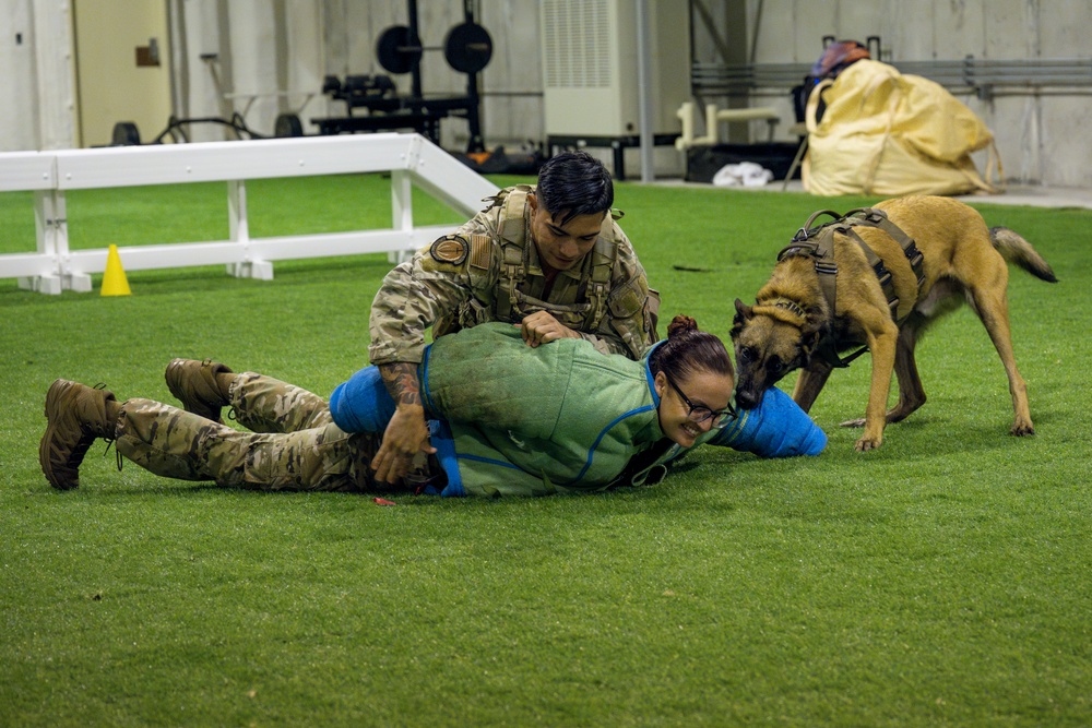 35th FW Deputy Commander Attends Immersion Tour