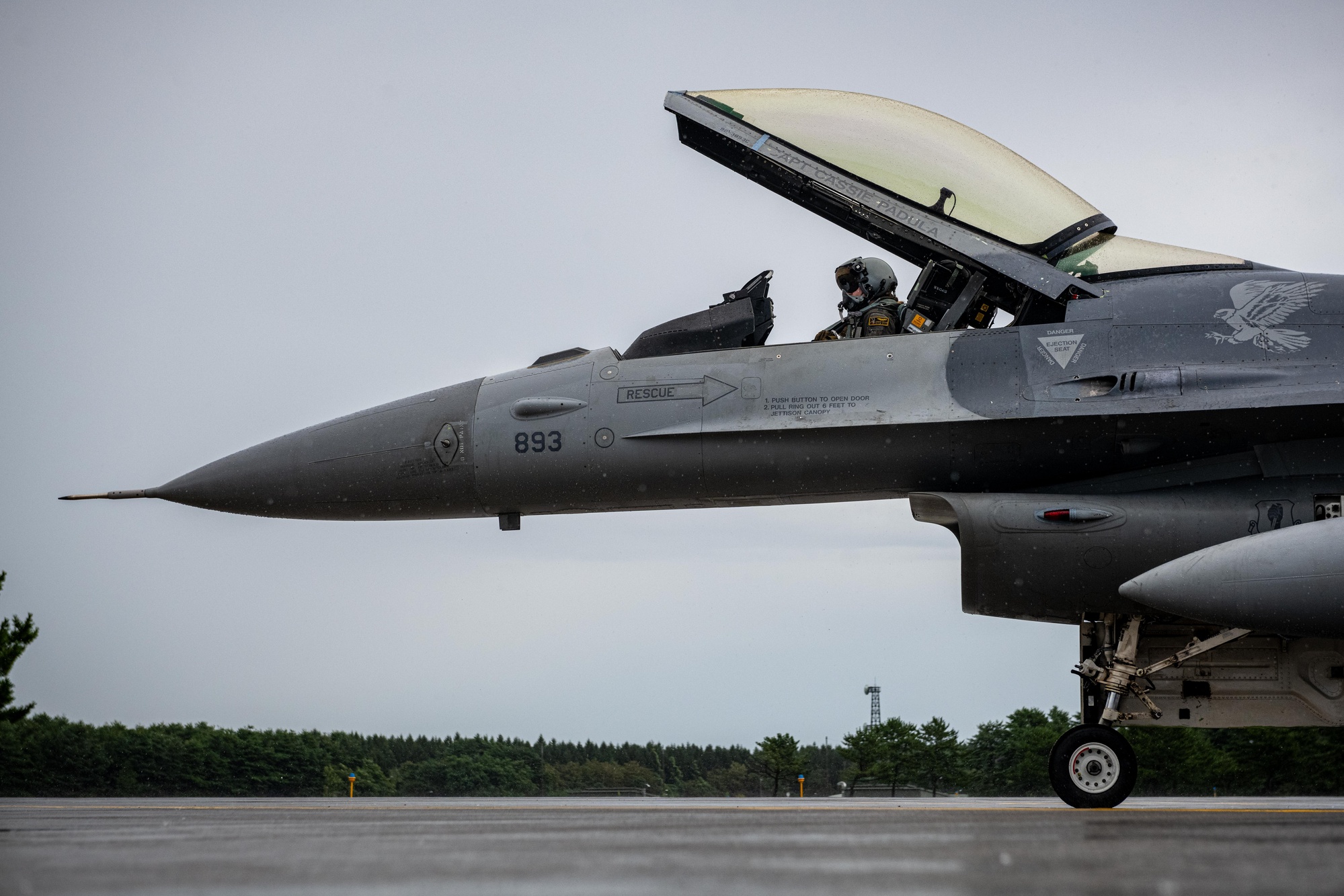 米空軍 14TH FIGHTER SQUADRON SAMURAI キャップ 米空軍 14TH FIGHTER