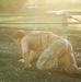 Sky Soldiers Conduct an Obstacle Course