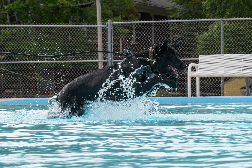 509 SFS dog water aggression training