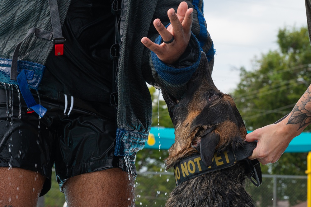 509 SFS dog water aggression training