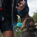 509 SFS dog water aggression training