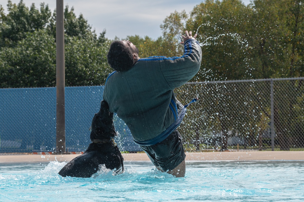509 SFS dog water aggression training