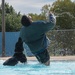 509 SFS dog water aggression training