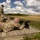 Expert Soldier Badge and Expert Infantry Badge range qualification, Sept. 2, 2025 Expert Soldier Badge and Expert Infantry Badge range qualification, Sept. 2, 2025