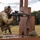 Expert Soldier Badge and Expert Infantry Badge range qualification, Sept. 2, 2025 Expert Soldier Badge and Expert Infantry Badge range qualification, Sept. 2, 2025
