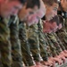 Special Warfare water confidence training
