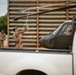 Washington Army National Guard UH-60s conduct flight operations over Thailand