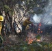 Shasta-Trinity Pile Burn
