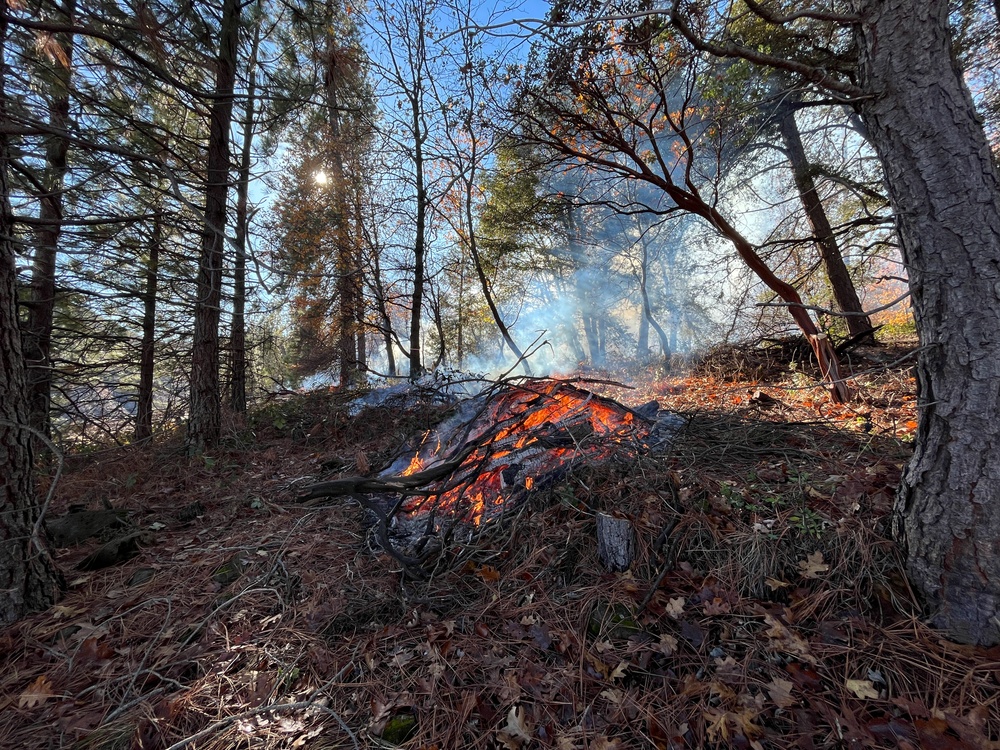 Shasta-Trinity Pile Burn