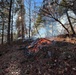 Shasta-Trinity Pile Burn