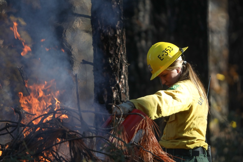 Shasta-Trinity Pile Burn