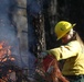 Shasta-Trinity Pile Burn