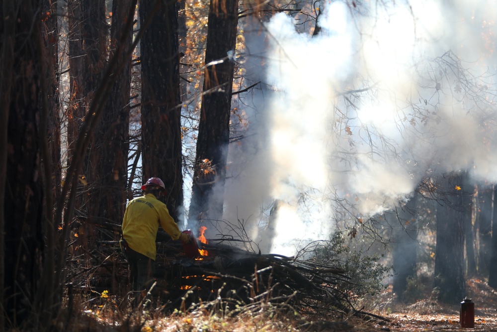 Shasta-Trinity Pile Burn