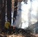 Shasta-Trinity Pile Burn