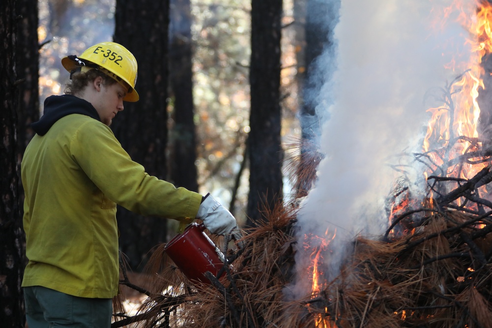 Shasta-Trinity Pile Burn