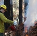 Shasta-Trinity Pile Burn