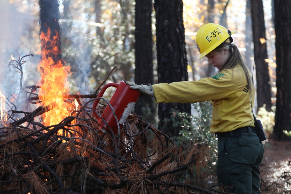 Shasta-Trinity Pile Burn
