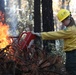 Shasta-Trinity Pile Burn