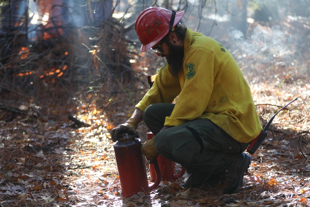Shasta-Trinity Pile Burn
