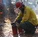Shasta-Trinity Pile Burn