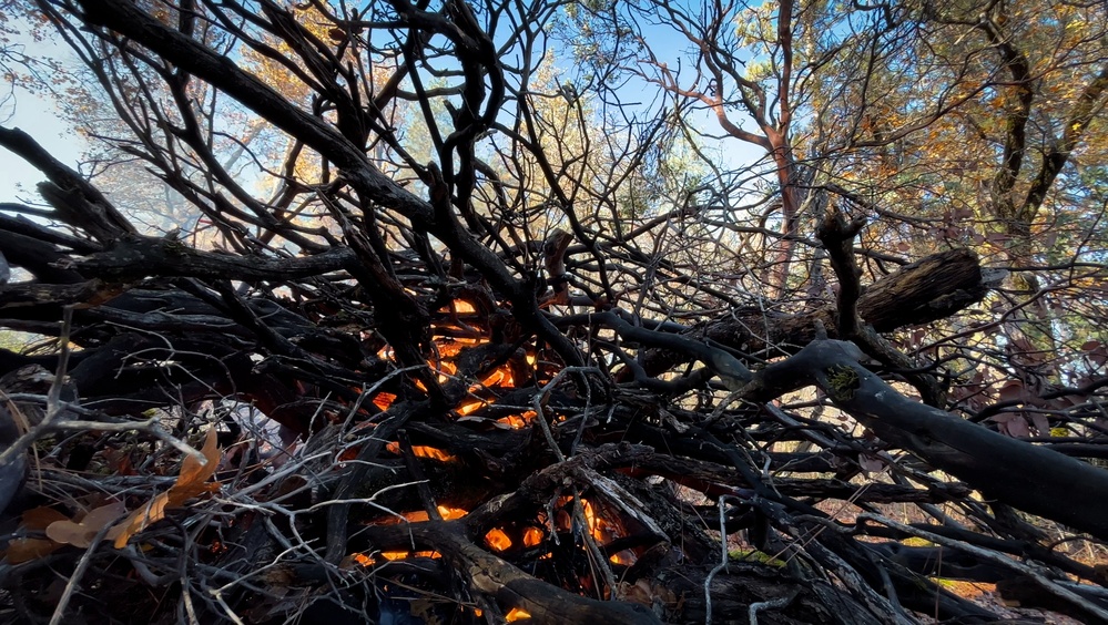 Shasta-Trinity Pile Burn