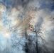 Shasta-Trinity Pile Burn