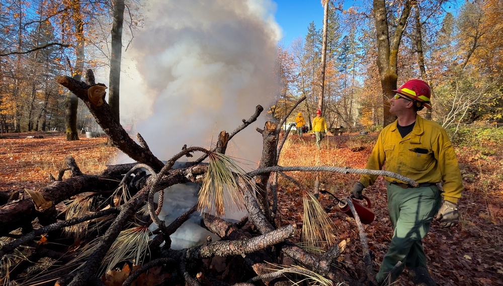 Shasta-Trinity Pile Burn
