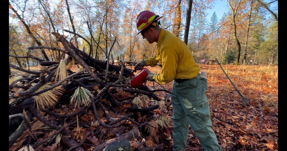 Shasta-Trinity Pile Burn