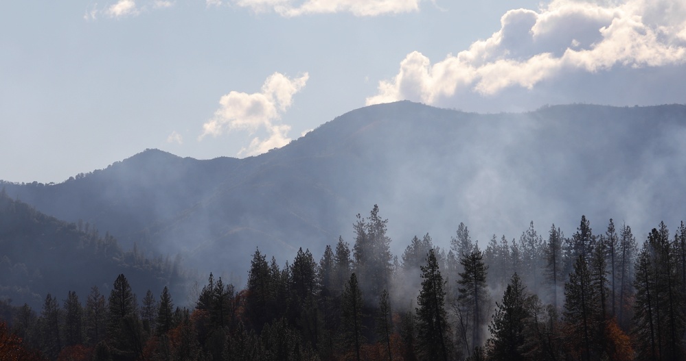 Shasta-Trinity Pile Burn