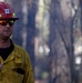 Shasta-Trinity Pile Burn