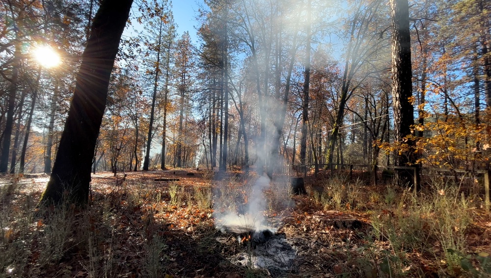 Shasta-Trinity Pile Burn