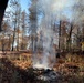 Shasta-Trinity Pile Burn