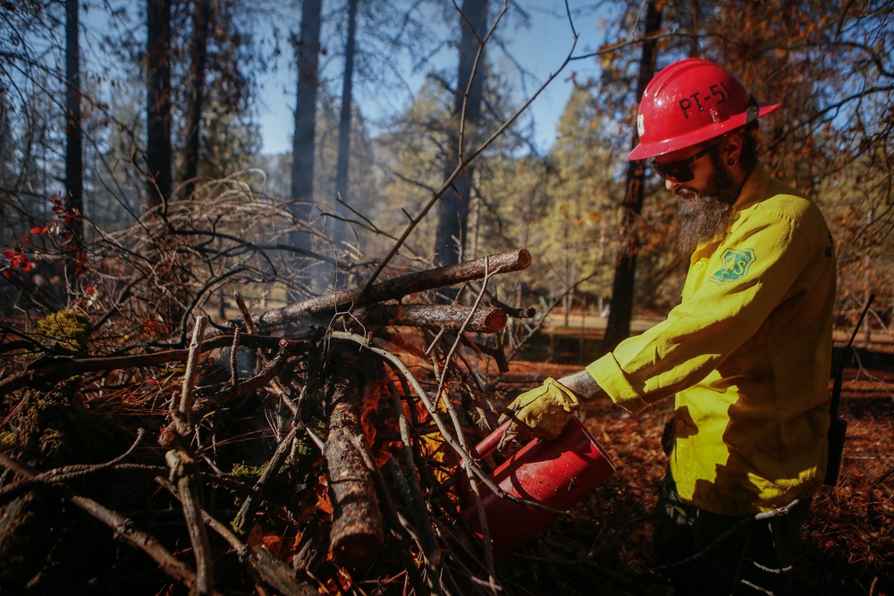 Shasta-Trinity Pile Burn