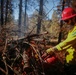 Shasta-Trinity Pile Burn