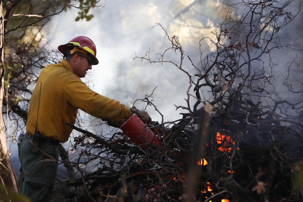 Shasta-Trinity Pile Burn