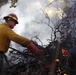 Shasta-Trinity Pile Burn