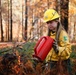 Shasta-Trinity Pile Burn