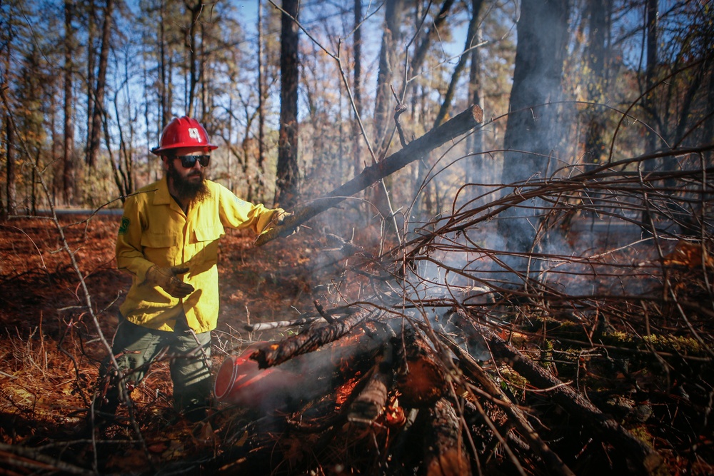 Shasta-Trinity Pile Burn