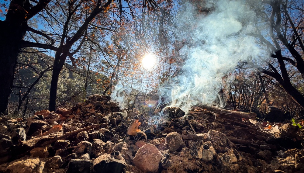 Shasta-Trinity Pile Burn
