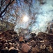 Shasta-Trinity Pile Burn