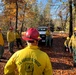 Shasta-Trinity Pile Burn