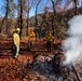 Shasta-Trinity Pile Burn