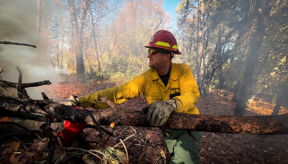 Shasta-Trinity Pile Burn