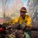 Shasta-Trinity Pile Burn
