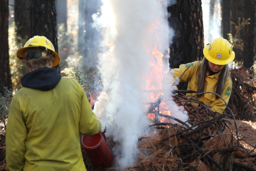 Shasta-Trinity Pile Burn