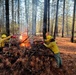 Shasta-Trinity Pile Burn