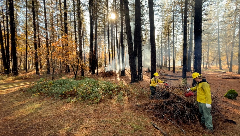 Shasta-Trinity Pile Burn