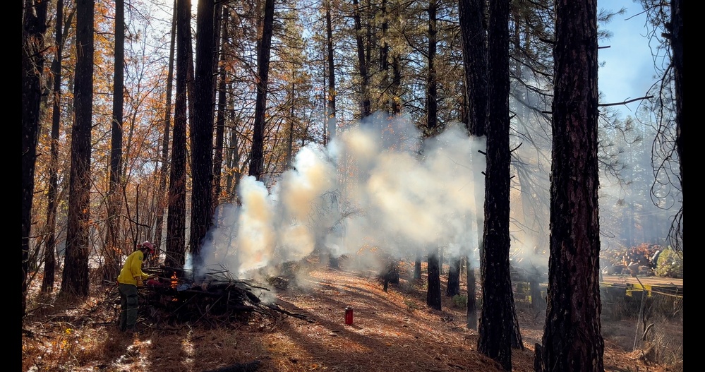 Shasta-Trinity Pile Burn