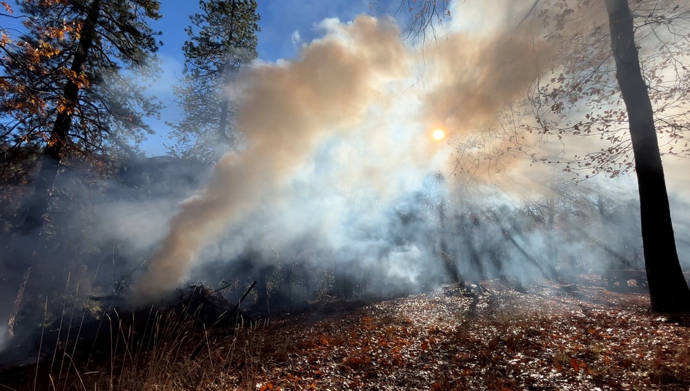 Shasta-Trinity Pile Burn